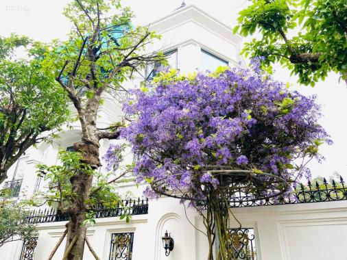 Quỹ căn khu D khu đô thị Geleximco. Giá nét, sẵn sổ giao dịch ngay