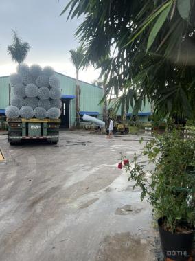 GẤP! Bán Nhà xưởng 1.2 hecta đang cho thuê 300 triệu/tháng tại xã Long Phước, Long Thành giá 54 tỷ