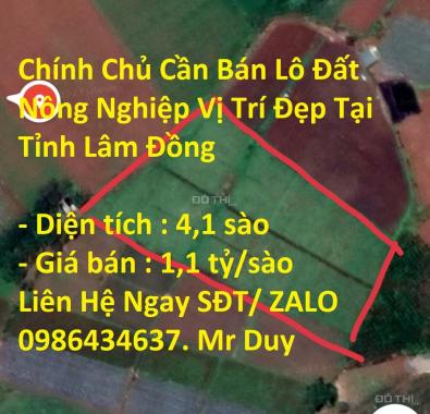 Bán đất tại Xã Hiệp Thạnh, Đức Trọng, Lâm Đồng diện tích 4100m2