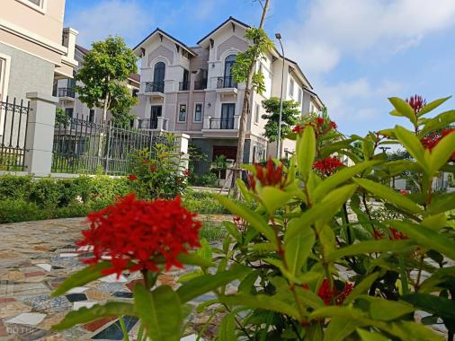 Bán gấp biệt thự vườn giá đáy Vsip Từ Sơn