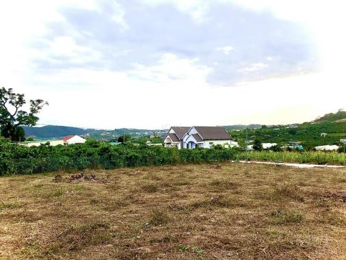 Bán 4 sào đất Mê Linh, 2 mặt tiền đường, sẵn 1800m2 thổ cư