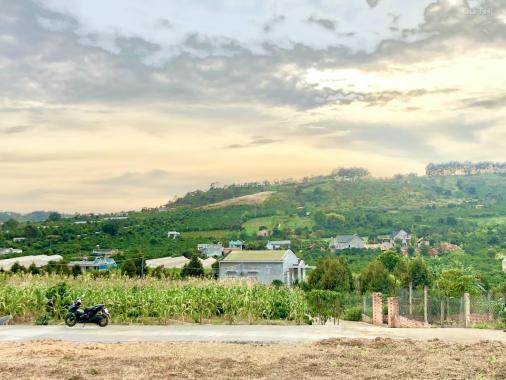 Bán 4 sào đất Mê Linh, 2 mặt tiền đường, sẵn 1800m2 thổ cư