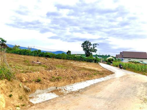 Bán 4 sào đất Mê Linh, 2 mặt tiền đường, sẵn 1800m2 thổ cư