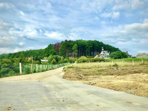 Bán 4 sào đất Mê Linh, 2 mặt tiền đường, sẵn 1800m2 thổ cư