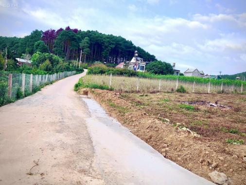 Bán 4 sào đất Mê Linh, 2 mặt tiền đường, sẵn 1800m2 thổ cư