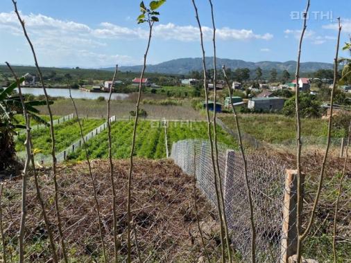 CÁCH DT725 100M, CẦN BÁN LÔ ĐẤT VIEW HỒ CỰC ĐẸP
