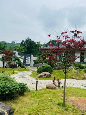 BÁN BIỆT THỰ SÂN VƯỜN HOÀNH BỒ,TP.HẠ LONG DIỆN TÍCH : 2000M2 SIÊU ĐẸP !!!