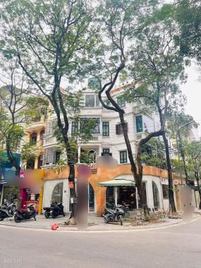 Chính chủ cần bán Lô Góc biệt thự CaFe Hồ Văn Quán