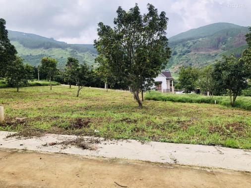 Bán nhanh miếng đất có sẵn cây ăn trái xã Đông Thanh giá chỉ 774tr