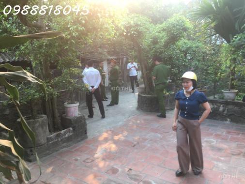 Ngân hàng phát mại nhà đất Dân Lý, huyện Triệu Sơn, tỉnh Thanh Hóa, 474m2, MT 18m, 504tr