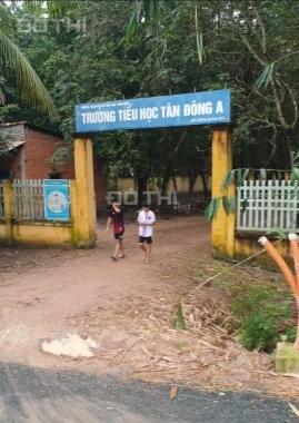 Ngộp lãi ngân hàng cần bán gấp đất đường nhựa 30m, tại xã Tân Đông,Tân Châu.