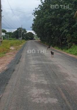 Ngộp lãi ngân hàng cần bán gấp đất đường nhựa 30m, tại xã Tân Đông,Tân Châu.