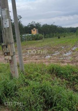 Ngộp lãi ngân hàng cần bán gấp đất đường nhựa 30m, tại xã Tân Đông,Tân Châu.