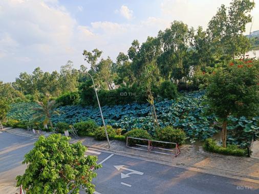 Bán nhà ven sông sen tự nhiên rất đẹp và thơ mộng.