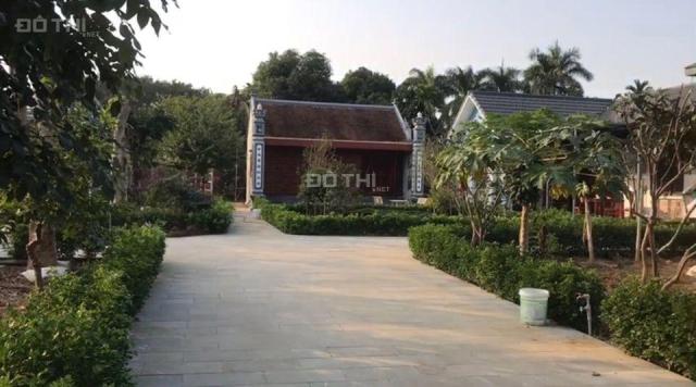 Chính chủ bán nhanh 2000m2 đất sẵn khuôn viên tại Phú Cát, Quốc Oai. Giá nhỉnh 21 tỷ. Sổ đỏ cất két