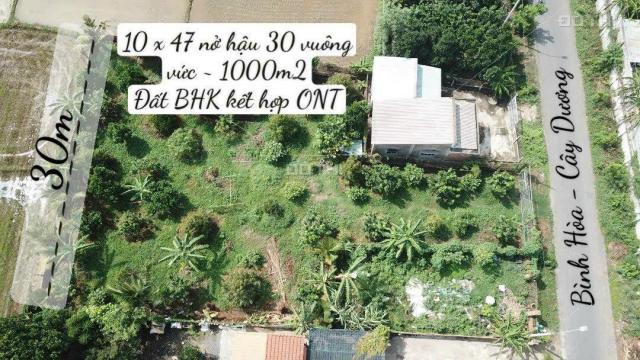 Bán 1000m2 MT Bình Hoà - Cây Dương giá 4,5 tỷ SHR view sông Đồng Nai đường rộng thoáng làm nhà vườn