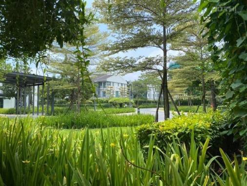 Cho Thuê Nhà Liền Kề Biệt Thự ParkCity