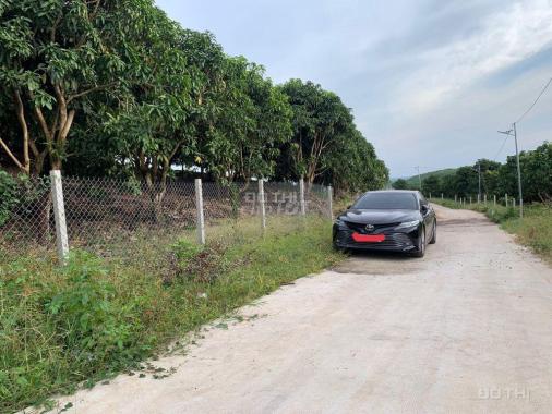 Bán vườn trái cây Định Quán, Đồng Nai. Giá 625tr