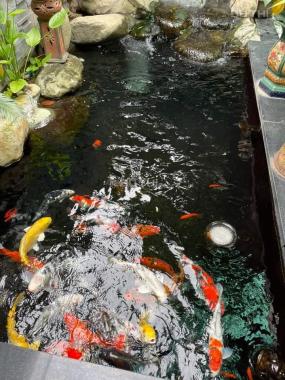 Bán nhà 89m2 ngõ ôtô phố trịnh công sơn quận tây hồ