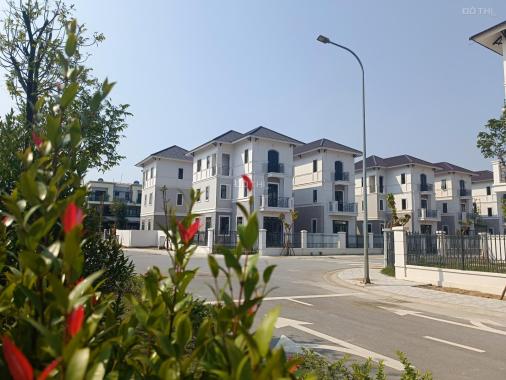 Phiên bản giới hạn biệt thự Đơn lập View công viên, hồ điều hòa kđt Vsip.