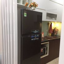 Chính chủ cần bán căn hộ 2 ngủ nội thất đẹp, về ở luôn view rất đẹp tại tòa nhà 93 Lò Đúc Hà Nội