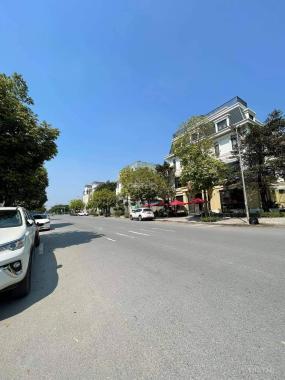 Biệt thự 3T khu ĐTM An Hưng ôtô KD, DT306m2, 52 tỷ Hà Đông