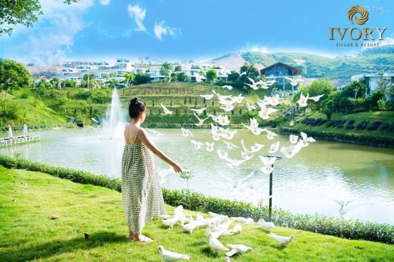 Bán biệt thự dự án Ivory Resort Hòa Bình