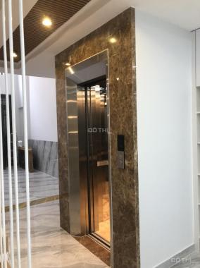 Siêu phẩm Gò Vấp: Bán nhà 6 tầng, 6PN, 8WC, thang máy, giá chỉ 11.5 tỷ!