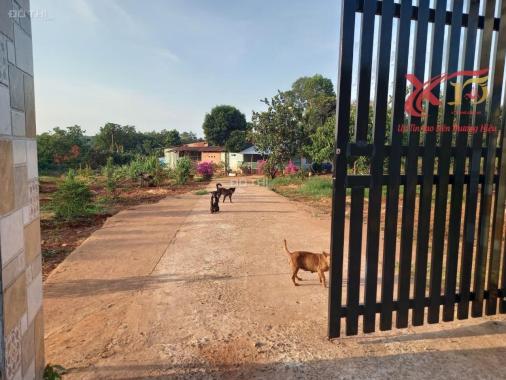 💥Mừng World Cup Nữ Bán đất 3500m2 xã Hàng Gòn TP Long Khánh chỉ 7 tỷ