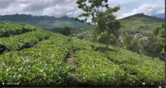 BÁN LÔ ĐẤT RỘNG ĐẸP TẠI TIỂU KHU 1/5 CHIỀNG SƠN, MỘC CHÂU,  SƠN LA - GIÁ RẺ BẤT NGỜ