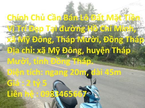 Bán đất tại Xã Mỹ Đông, Tháp Mười, Đồng Tháp diện tích 900m2