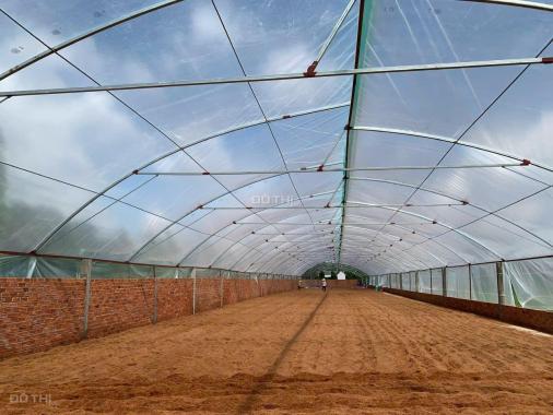 CHÍNH CHỦ BÁN NHÀ XƯỞNG RỘNG TẠI TÂN MỸ, BA TRI, BẾN TRE - GIÁ RẺ BẤT NGỜ