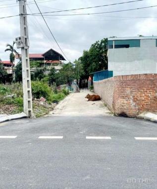 BÁN GẤP ĐẤT THÔN TRUNG VIỆT HÙNG ĐÔNG ANH TP HÀ NỘI OTO DT126M GIÁ CHỈ 4,65 TỶ
