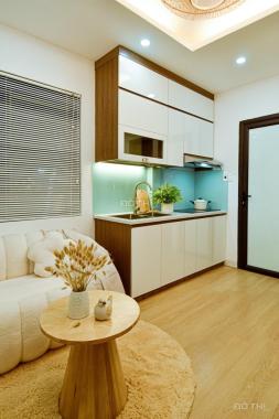 Cần bán căn hộ chung cư mini minh khai, gần ĐH bách khoa, DT 30 - 62m² ở ngay, giá hơn 700tr/căn.