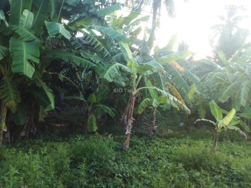 Cần bán 3 nền mặt tiền đường nhựa gần chợ Nhị Long.