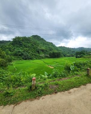 Sang nhượng gấp 1945m2 đất thổ cư view cực đẹp tại Lương Sơn, Hòa Bình