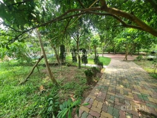 Cho thuê nhà vườn ở gần Bãi Đã 3400m2 đẹp như ảnh để nghỉ dưỡng hoẵ YoGa Sinh thái