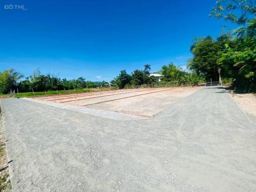 Gia đình mình cần tiền nên bán lô đất gấp - diện tích 139m2