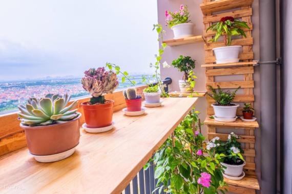 Căn 2 Ngủ Chỉ với 354 triệu sở hữu ngay tại Vinhomes Ocean Park