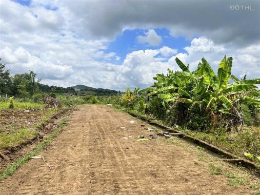 Bán Đất 2,4ha thôn 8 Cưêbur view ruộng giá rẻ 420tr/sào