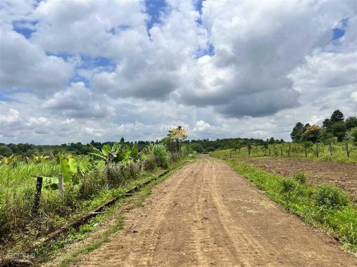 Bán Đất 2,4ha thôn 8 Cưêbur view ruộng giá rẻ 420tr/sào