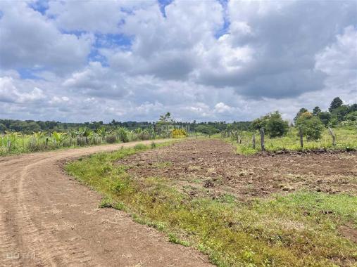 Bán Đất 2,4ha thôn 8 Cưêbur view ruộng giá rẻ 420tr/sào