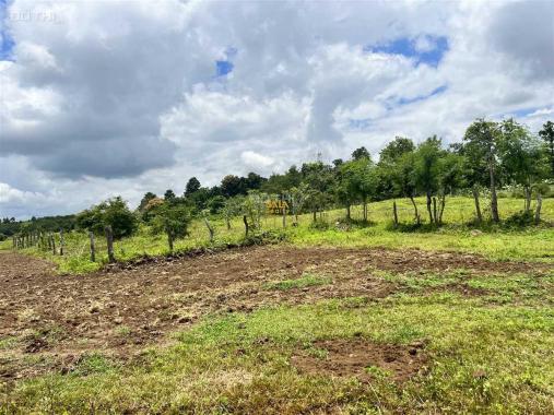 Bán Đất 2,4ha thôn 8 Cưêbur view ruộng giá rẻ 420tr/sào