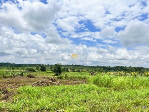 Bán Đất 2,4ha thôn 8 Cưêbur view ruộng giá rẻ 420tr/sào