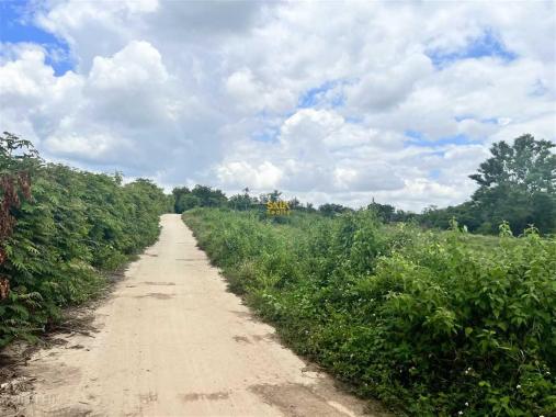 Bán Đất 500m2 thôn 8 Cưêbur view đồi mộng mơ giá 365tr
