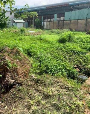Bán đất tại Đường 4, Phường Trường Thọ, Thủ Đức, Hồ Chí Minh diện tích 700m2 giá 20 Tỷ