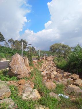 Chính chủ 574m full thổ cư giá 4,2 triệu