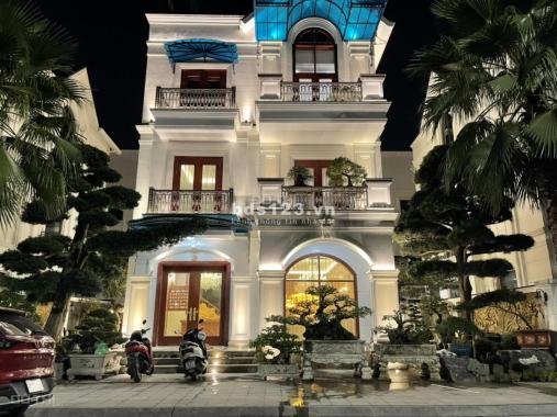 Bán biệt thự đơn lập Hải Âu HA01 đối diện quảng trường tại Vinhomes Ocean Park - Gia Lâm, Hà Nội