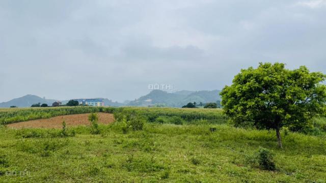 Chính chủ cắt lỗ 2825m2 đất thổ cư giá chỉ 1tỷ250tr tại Cao Phong, Hòa Bình