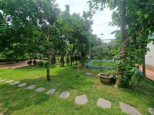 Cho thuê Nhà Vườn ở An Dương 3400m2 đẹp đúng như ảnh về nghỉ dưỡng tuyệt vời